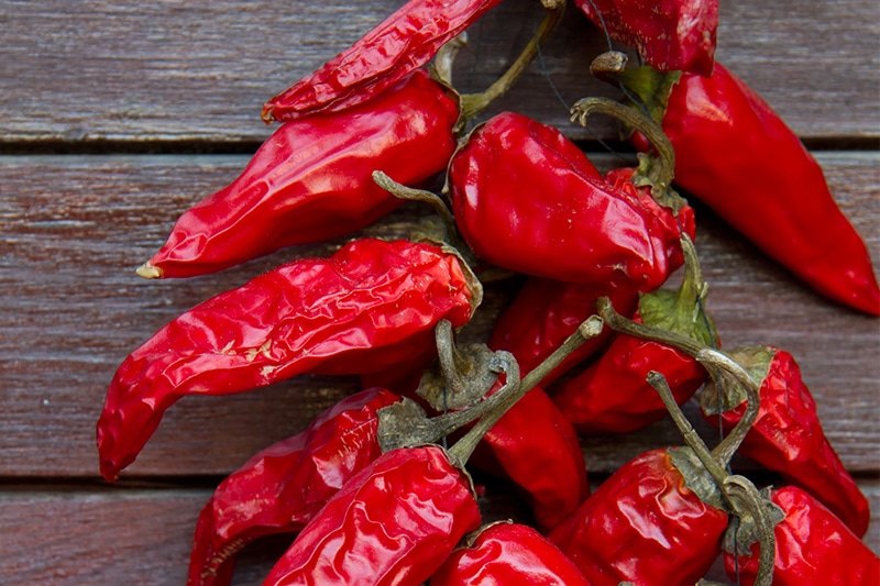 Spicy Mexican food