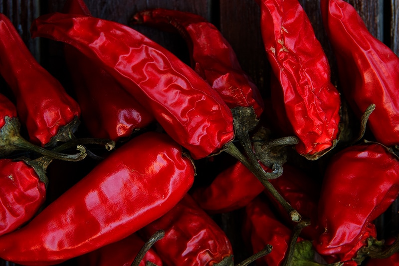 best spicy Mexican food